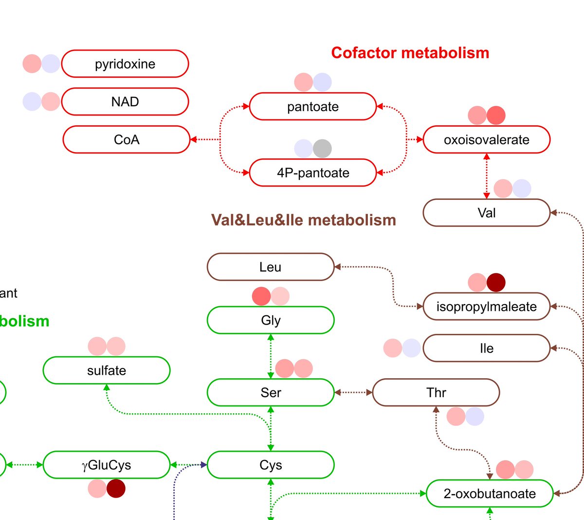 The things we do <a href="/ChemBioLab_CQE/">ChemBioLab</a> <a href="/BioMolCQE/">BioMol CQE</a> <a href="/cqe_lisboa/">Centro de Química Estrutural</a> <a href="/istecnico/">Instituto Superior Técnico</a> @FC_UL HRMS metabolomics of yeast cells to check their robustness and fitness #untargeted #metabolomics #MassSpectrometry