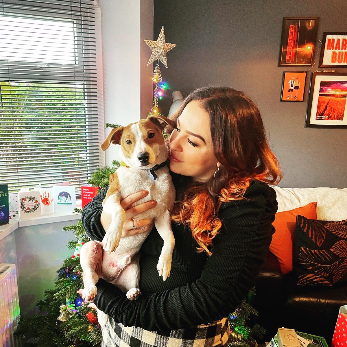 LindleyGeorgina's tweet photo. Hope everyone has had a lovely Christmas! I’ve spent the majority in recovery with this little trooper who had a second bout of knee surgery within an 8 week period after the first lot failed ❤️‍🩹🎄🎅🏻 Back to it tomorrow 💻👩🏻‍💼 https://t.co/XK8JmEPZ6V