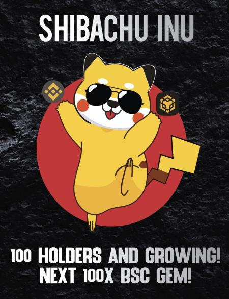 Shibachu Inu (@shibachuinubsc) on Twitter photo 