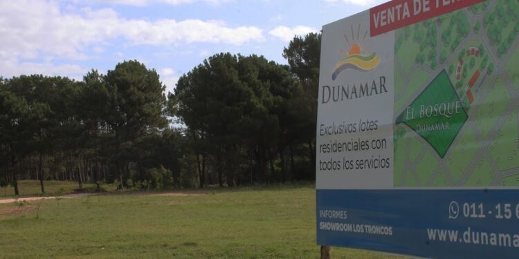 detresarroyos's tweet photo. Camino alternativo de Dunamar: prevén apertura en la primera semana de enero #dunamar #claromeco https://t.co/FLwo0E7xWf