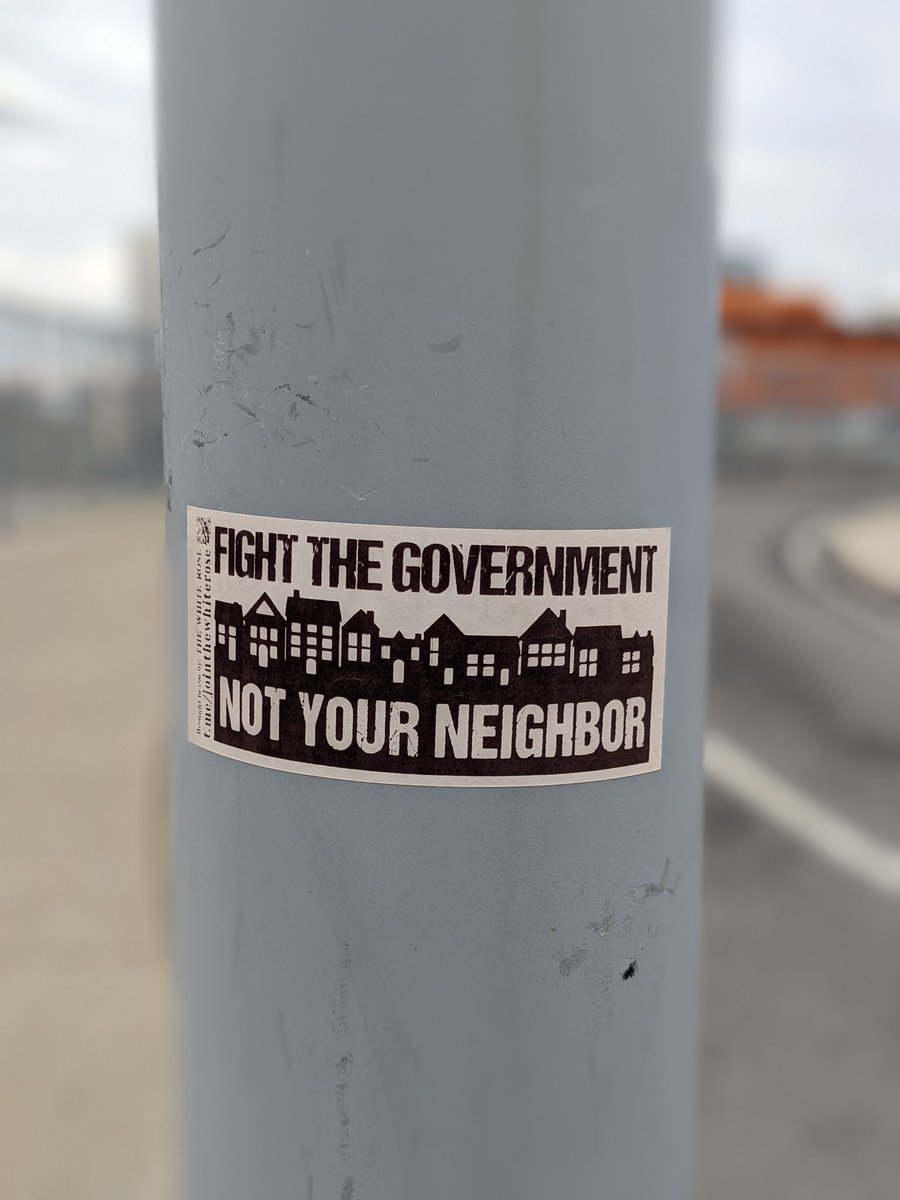 Dani Zoldan 🗽 tweet media