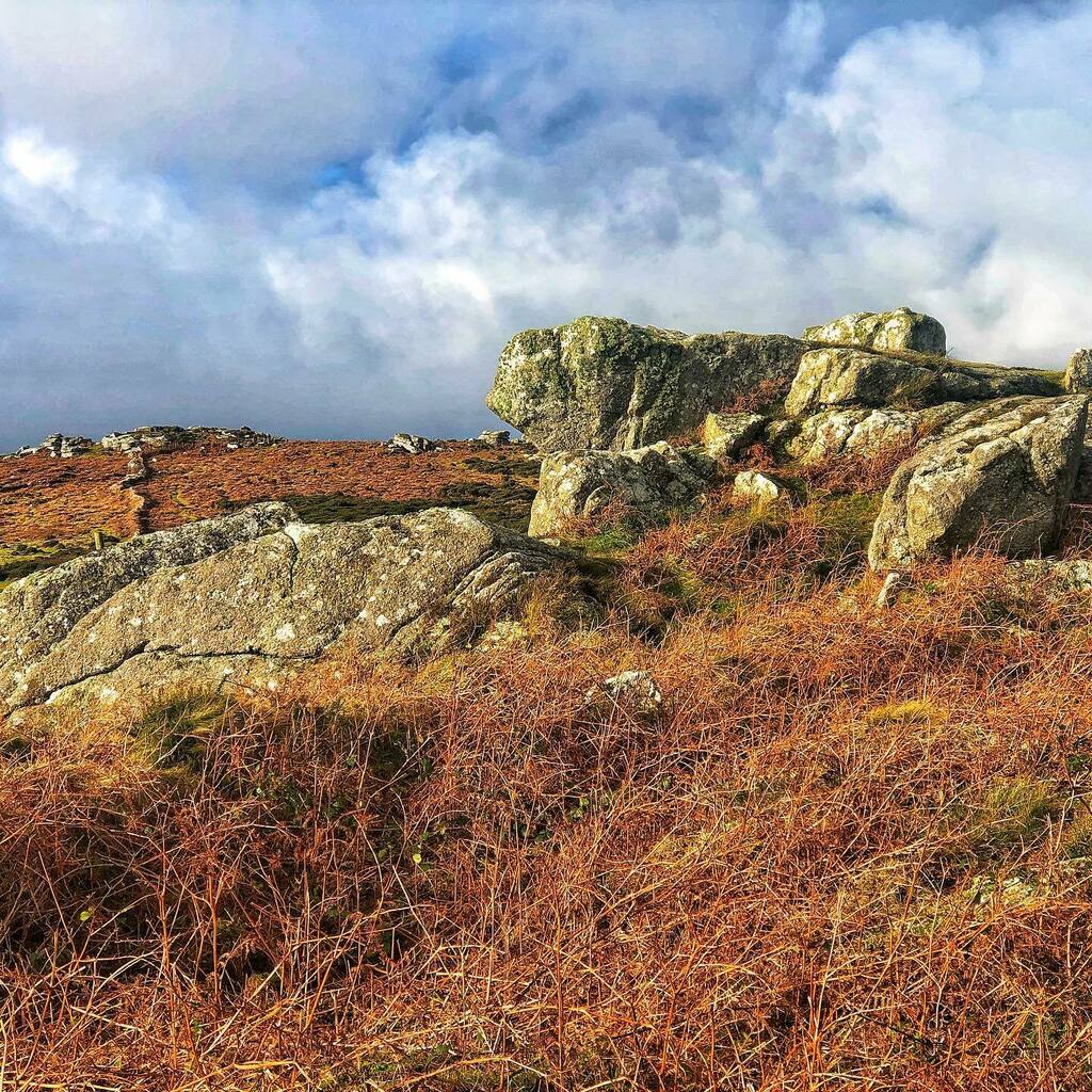 _rexhenry's tweet photo. central tor. rosewall hill. 1. looking towards the western tors and possible tor enclosure. 2. looking northwards from the central tors towards trevalgan hill. #tor, #torstack, #torenclosure, #rosewall, #ancientcornwall, #westpenwith, https://t.co/fsL9AxkURt https://t.co/ravfJHbFU1