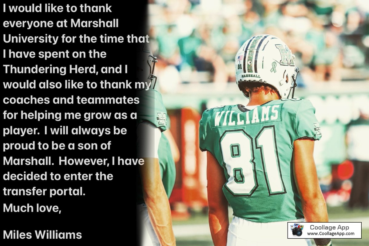 Miles Williams tweet media