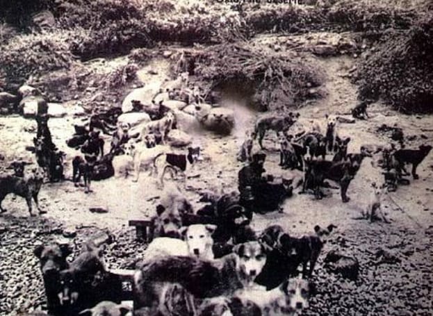 2●NEDEN ama neden ? Diye soruyorsunuz. 
Dönün ve etrafınıza bakın. Yaptıklarımız, bize geriye dönüyor. 
Daha ağır,daha şiddetli.
Hala anlamıyoruz,umursamıyoruz.
Kendimiz dışında her şeyi yok sayıyoruz . Kendimizi neredeyse ALLAH'A eş tuutuyoruz. Tanrı zannediyoruz.