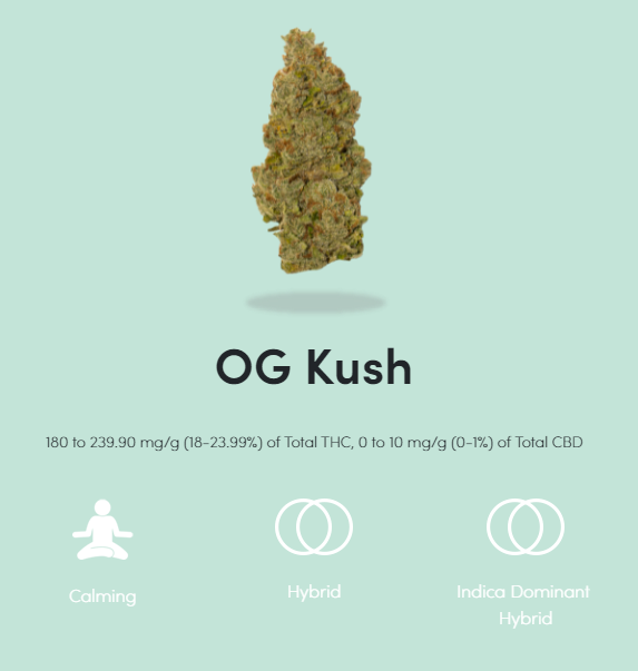 JoiBotanicals's tweet photo. The beachy cult classic, with a sprinkle of Joi. OG Kush has med-large buds w/ a dense floral structure &amp; a glistening light green to silver hue. Upon first sniff you’ll find evident notes of earthy herbs &amp; spices followed by a nutty, chocolate scent. 

https://t.co/N7BgSVa60y https://t.co/nm5aBWcVEW
