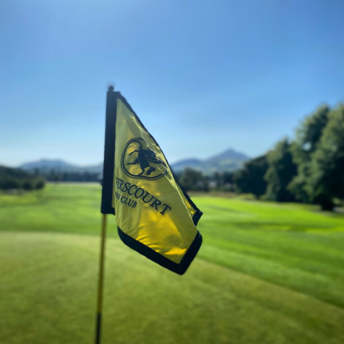 powerscourtgolf's tweet image. So, this just got a little bit more spicy... first drawn gets the Fourball voucher for 2022 but with added option of buggies. AND.. we have a 2nd and 3rd prize of respective Fourball vouchers - all you have to do is Retweet this tweet or the original. 25 Years of @powerscourtgolf