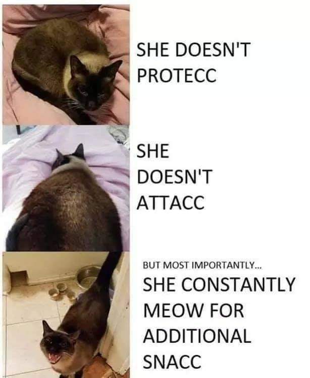 WholesomeMeme's tweet image. 