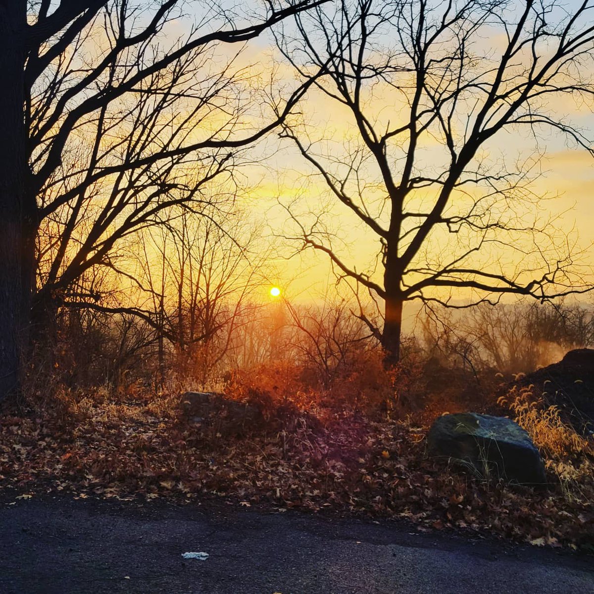 runSue19's tweet photo. New route in Easton! Sunrise, steam off the water, and icy bridges. #loveyourrun #teamULTRA #ultraambassador #joywins #alteregorunning #mmathlete #PAruns #keepittight #keepitfresh #madein81 #run40throwdown https://t.co/OArGdriRjZ
