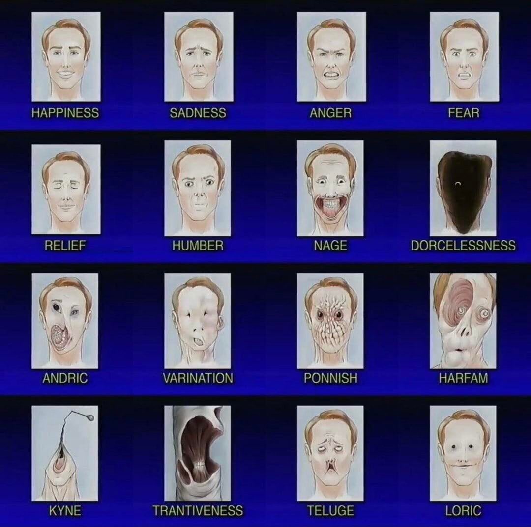 out of context this is the funniest fucking image ever