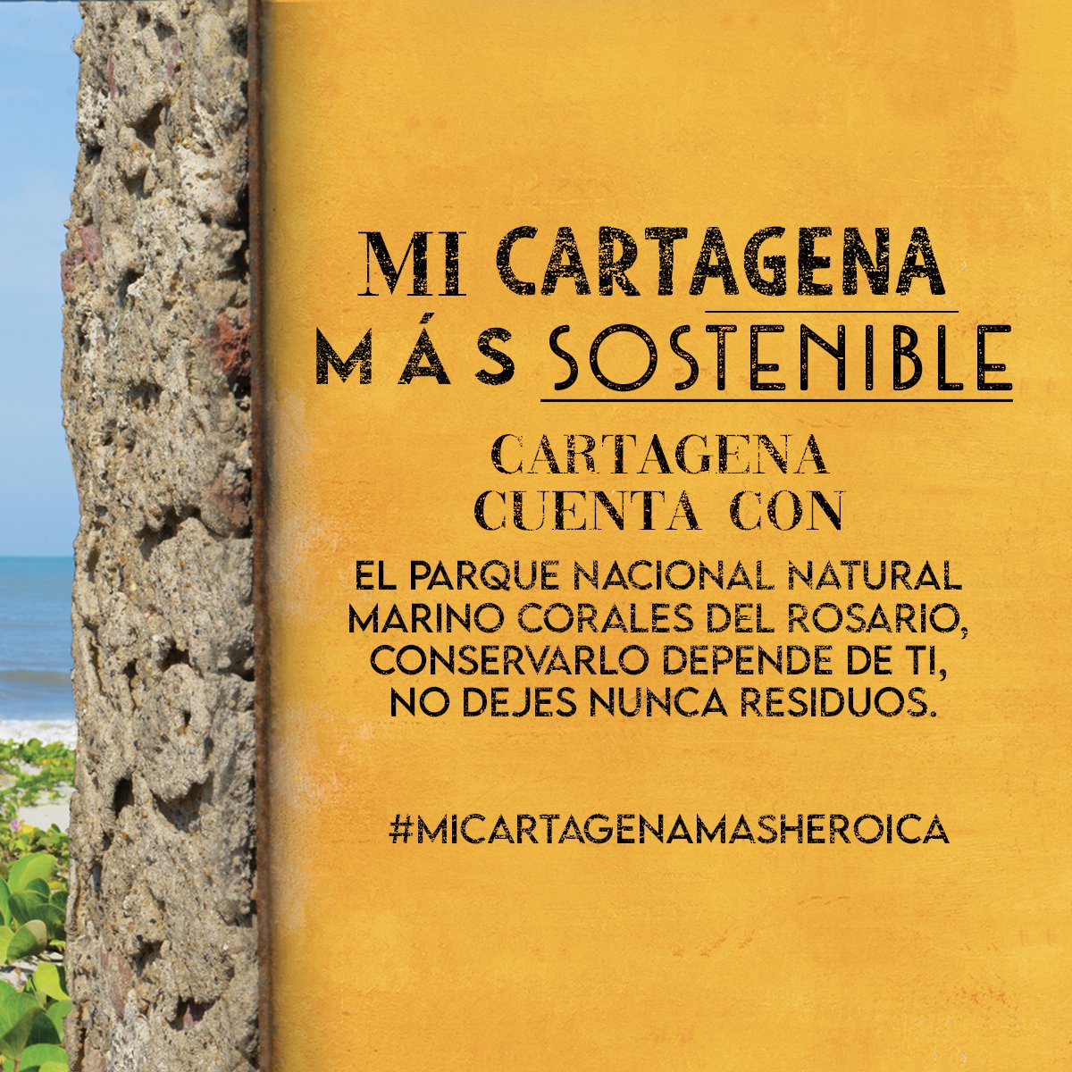 Turismo Cartagena De Indias tweet media