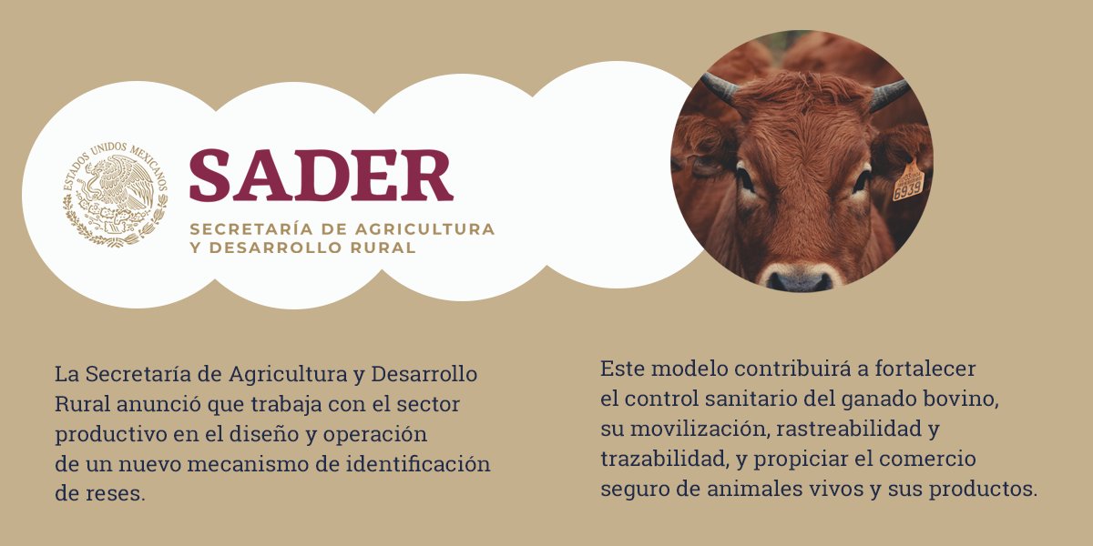 fia_foroagro's tweet photo. En proyecto de rediseño del
modelo de  Identificación y Trazabilidad 
del Ganado Bovino trabajan 
Agricultura y sector productivo. 

#FIA2021 #ForoInternacionalAgroindustrial #SADERMEXICO https://t.co/Msf9CpIe8i
