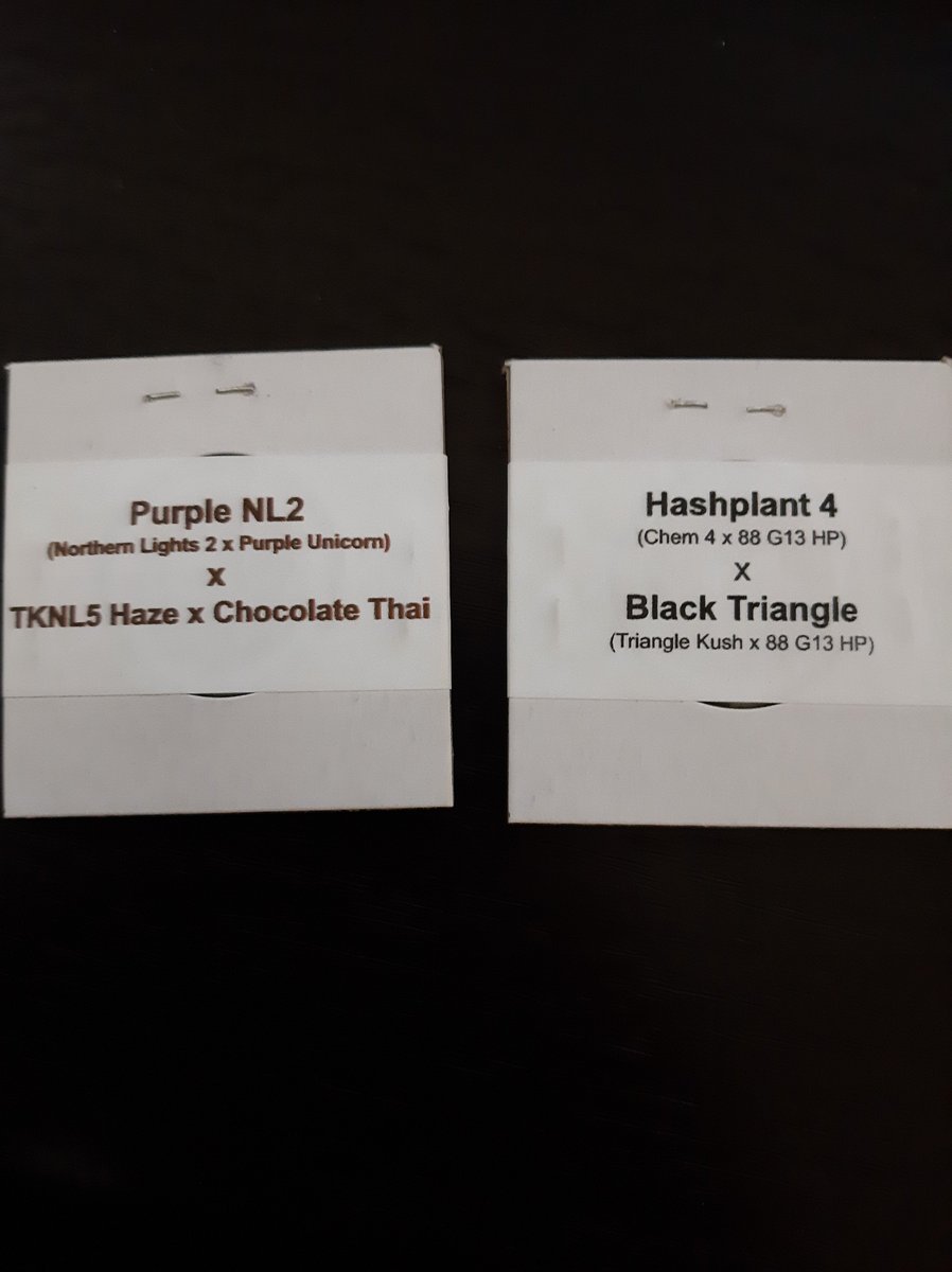 Absolutely torn over which ones to pop in NYE

Whaddya say? Also, show me what you've got lined up for 2022, I'd like to see!

#GrowYourOwn #grownfromseed #homegrown #organic #cannabiscultivator #trichomefarm #irvinearmy #mmberville #daamnnation #iriearmy #dgc #irvinearmy