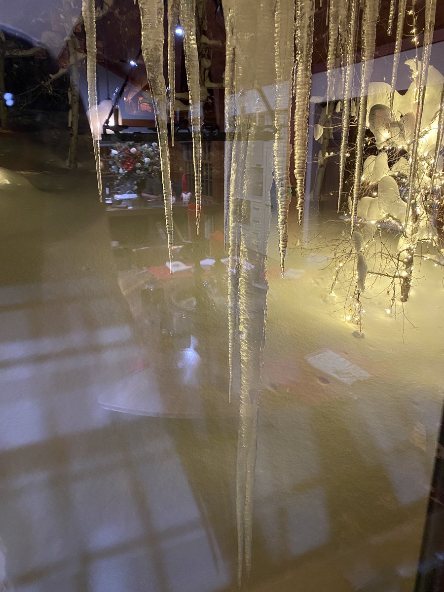 Amanda Grant tweet media