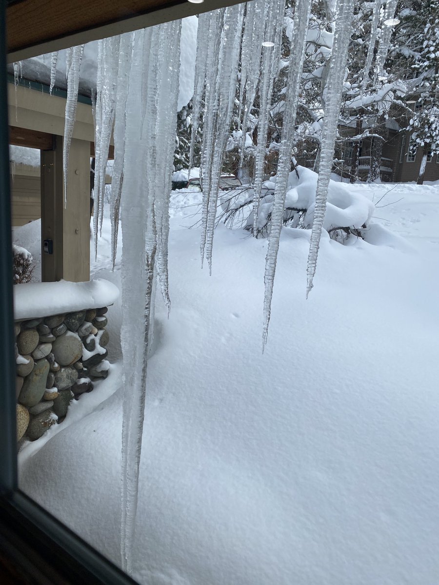 Amanda Grant tweet media