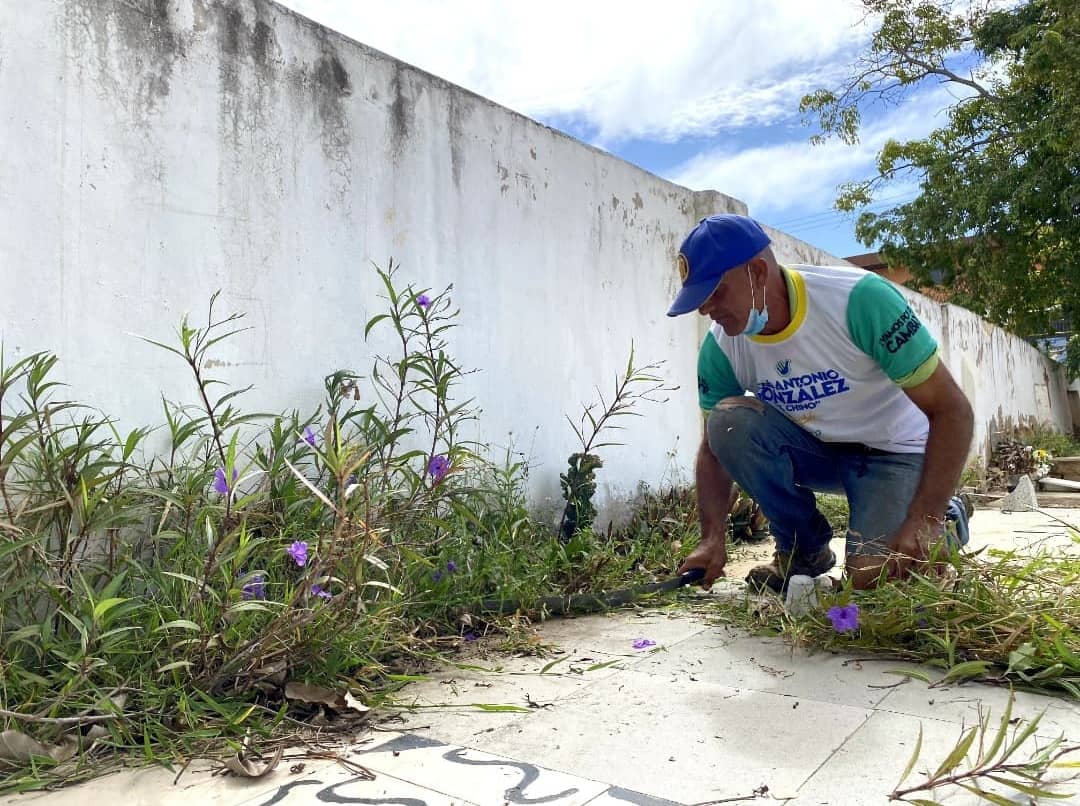 Nuestros colaboradores del programa #MariñoVerde🍃 iniciaron las labores de limpieza y desmalezamiento del Cementerio Municipal de Porlamar.

De esta forma, prontamente, los familiares podran visitar con dignidad  a sus difuntos.

#MariñoEsMariño🔰 
#MariñoVerde 🍃