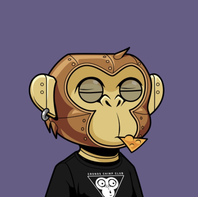 LordJB007's tweet photo. CronosChimp #2411 haven’t been posting my nfts. Meet my chimp amigo! 🙊@CronosChimpClub @cronos_chain @AgoramarketNFT https://t.co/lRnoXdIuMf