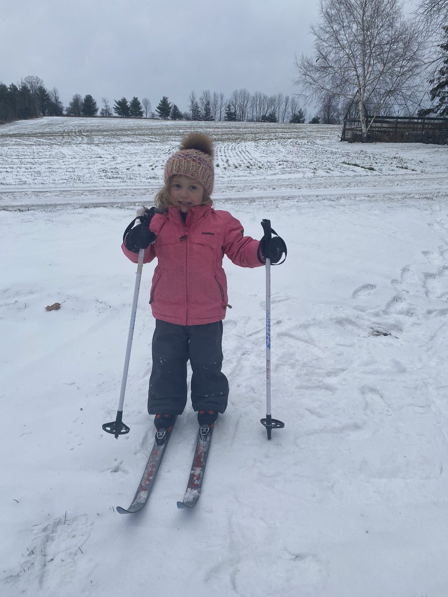 EdJHanson's tweet photo. Just enough snow for our newest xcountry skiing enthusiast https://t.co/indZ392seV