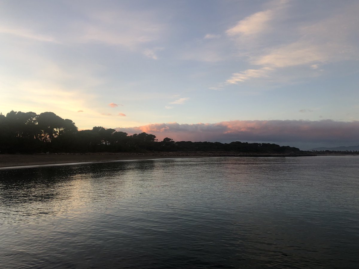 Cayetana Álvarez de Toledo tweet media