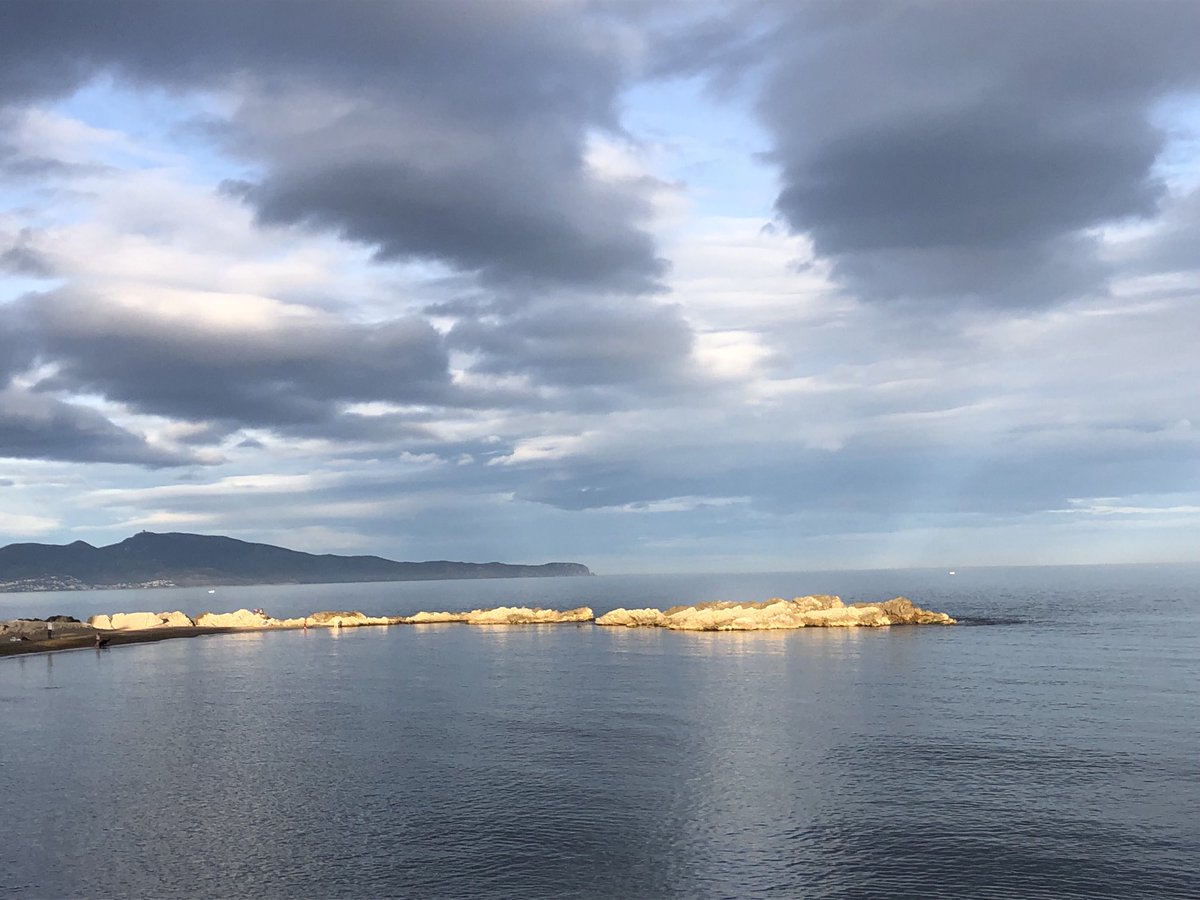 Cayetana Álvarez de Toledo tweet media