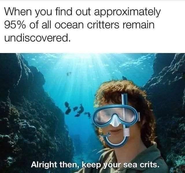 WholesomeMeme's tweet photo. https://t.co/V2vPD55yoo