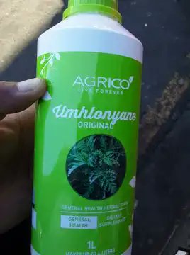 iamxpma3's tweet photo. Apparently it is unfortunately that @governmentza prefers scientist over our own Ancestors sent by God,whilst apparently our Ancestors saw #Codvid19 first then gave us vaccine as umhlonyane but apparently it was ignored over pfizer and Johnson from western influences. #Dlozlami https://t.co/lpbdFQw1nf