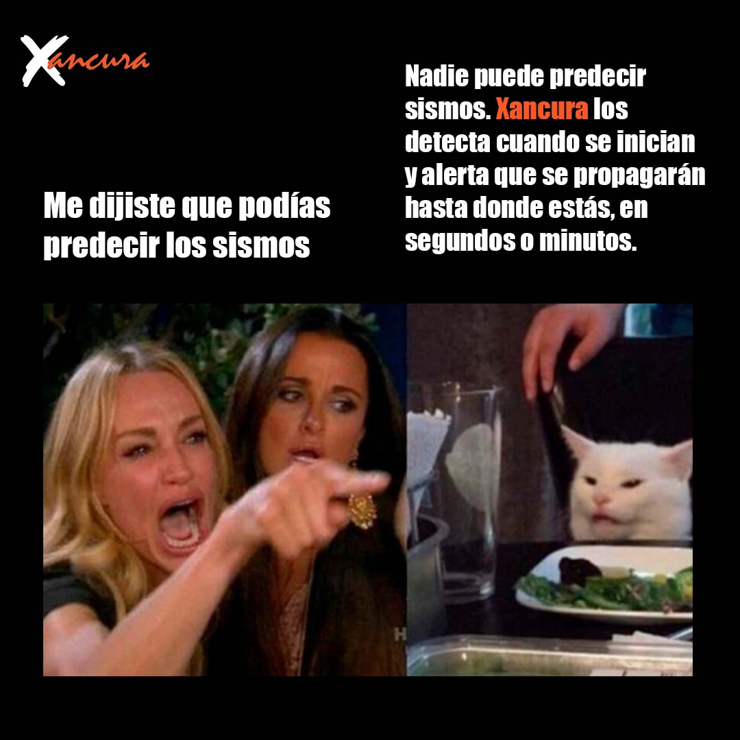 Xancura-Chile tweet media