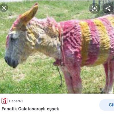 wirsindfy's tweet photo. @myinhope @Furkan42gs2 @ayaydmr @ultrAslan https://t.co/V5B9sZshtN