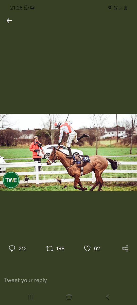 chiffy90's tweet photo. @TWEnclosure https://t.co/le6HsEQxaL