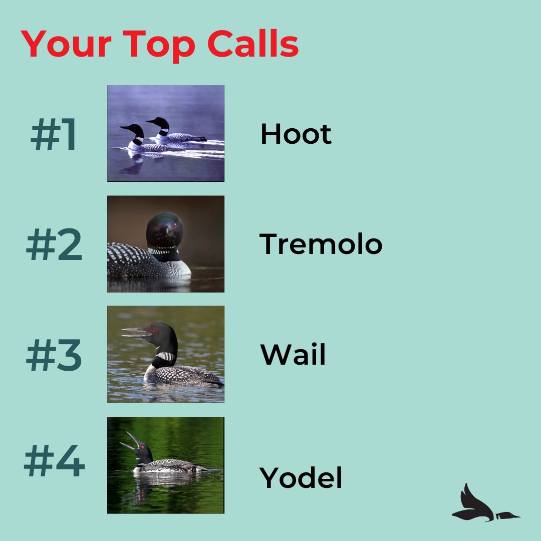 Our 2021 Spotify Wrapped says we only listen to loon calls... 
#DYK that loons have a large range of different vocalizations they make and not all of them have been described? 
Learn all about loon calls on our YouTube channel! https://t.co/mM0kNhe1Za