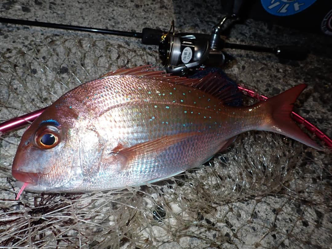 Kuri Kurix27 Twitter Kuri Kurix27 Twitter