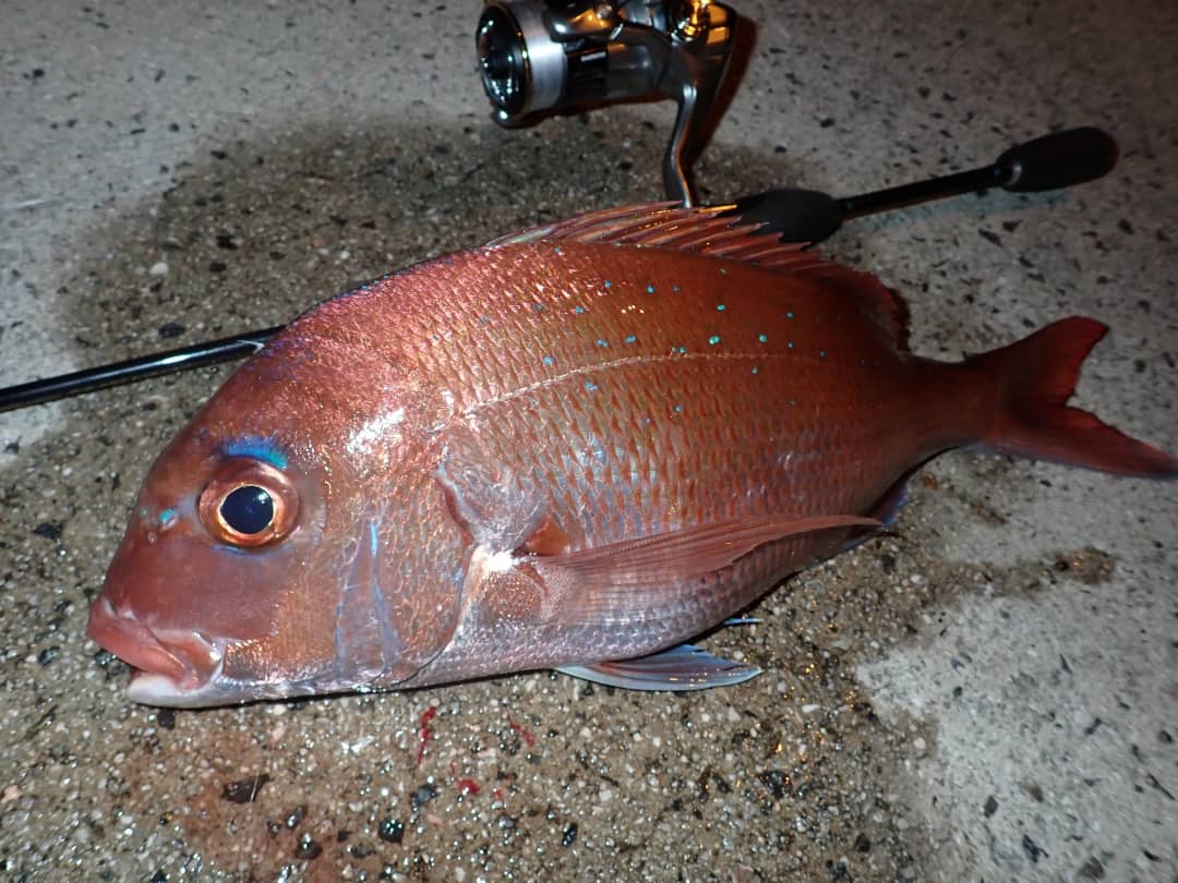 Kuri Kurix27 Twitter Kuri Kurix27 Twitter