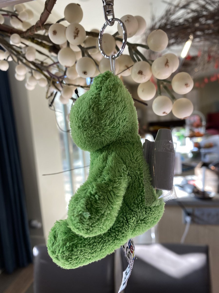 jablomberg's tweet photo. Sure you have mistletoe, but do you have a “missile toad”? #quarantinelife https://t.co/2dRwACA840