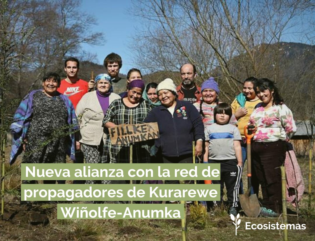 Fundación El Árbol tweet media