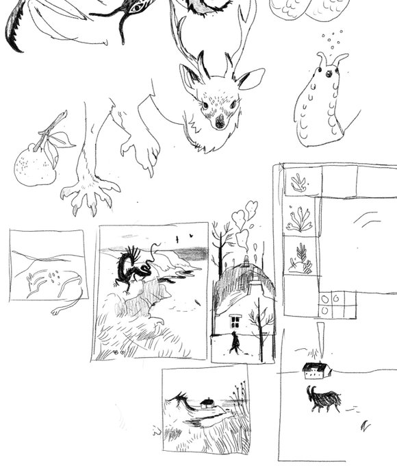 from sketchbook 