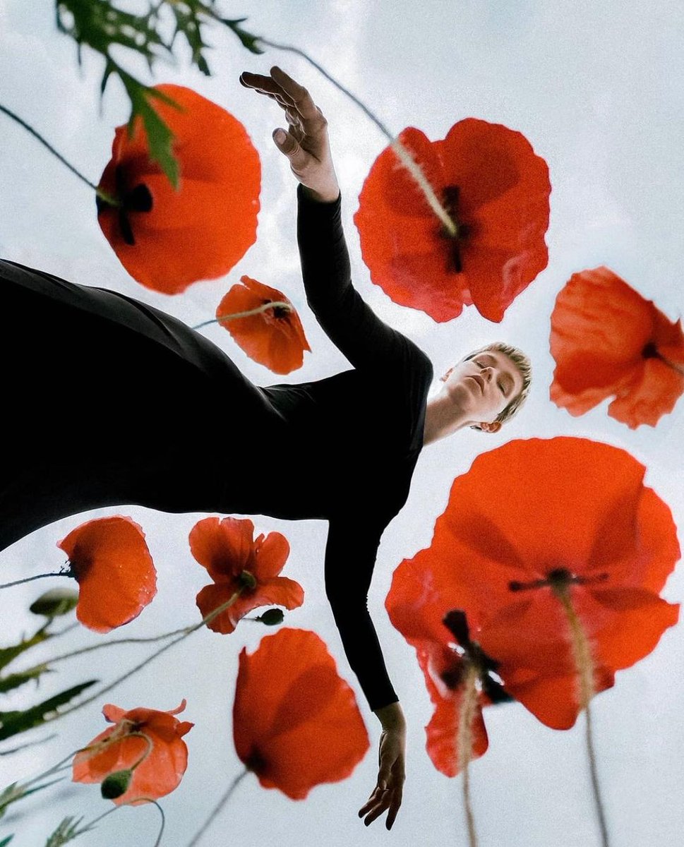 IoriTosa2's tweet photo. π· Β© laura zalenga.
Rotterdam, Netherlands
Dreamdancing π₯
.
Before / after and more from the series will be on my Patreon soon.
.
#PWframing #ps_bloom #ThePhotoWorkout #artphoto
. https://t.co/JaXLPXgmAM