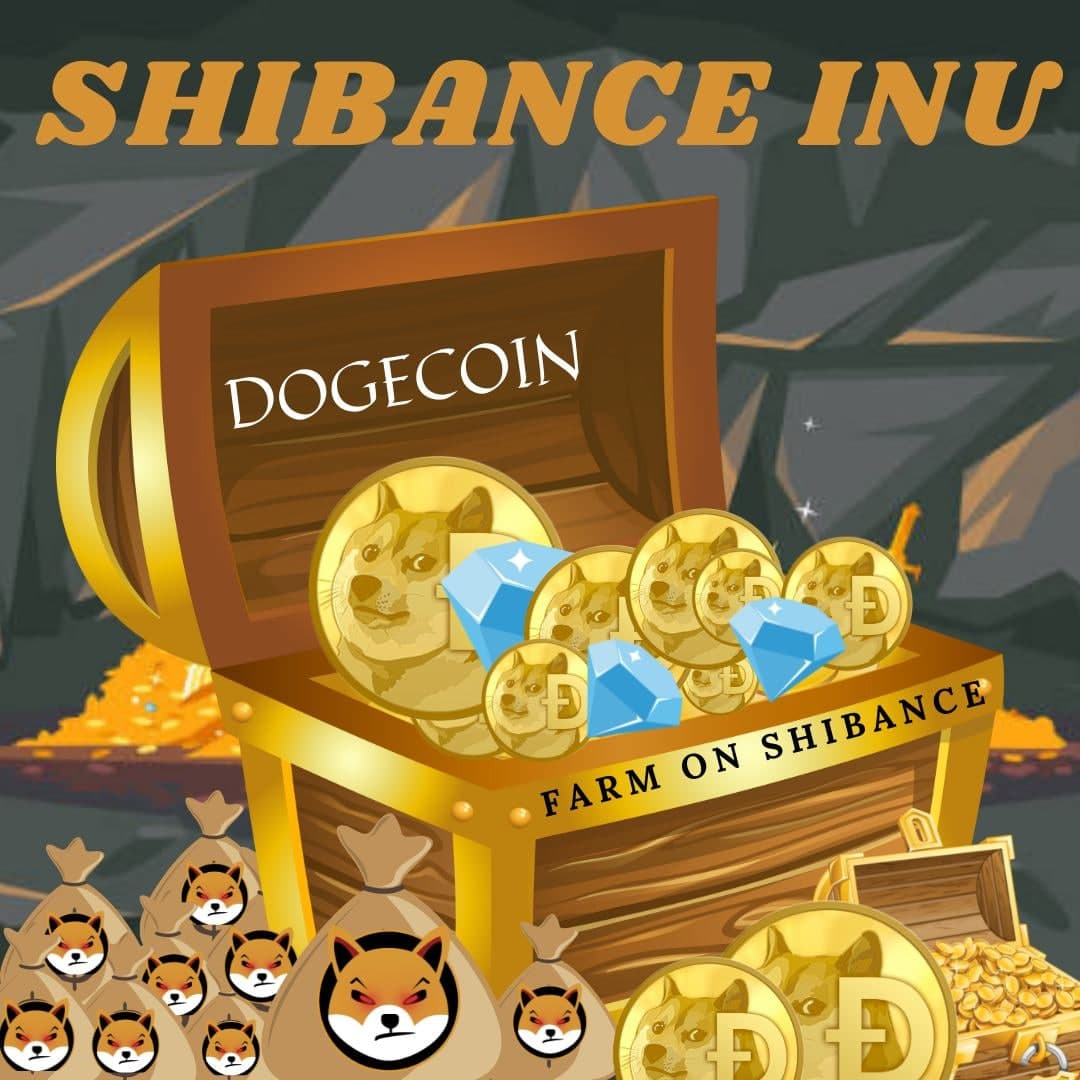 Shibance Inu tweet media