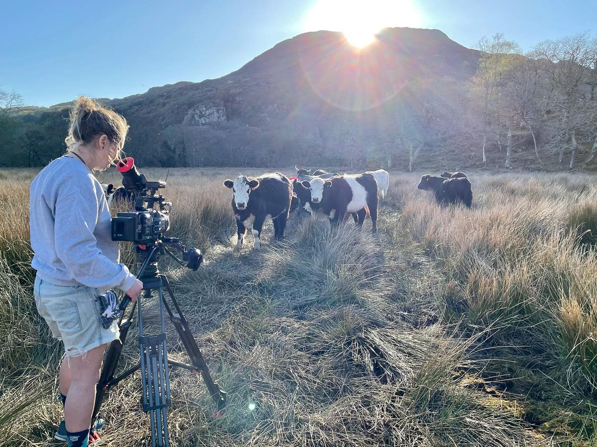 snapyn.tv tweet media