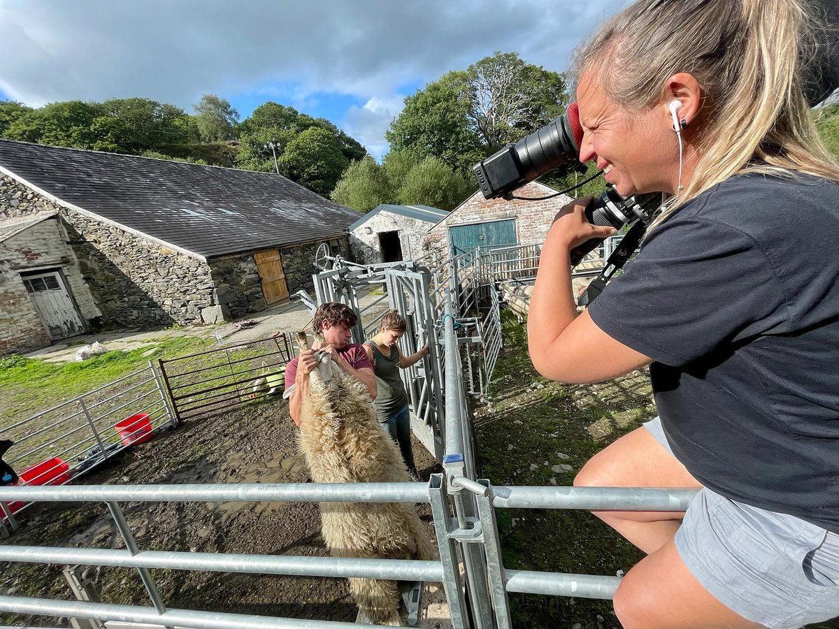 snapyn.tv tweet media