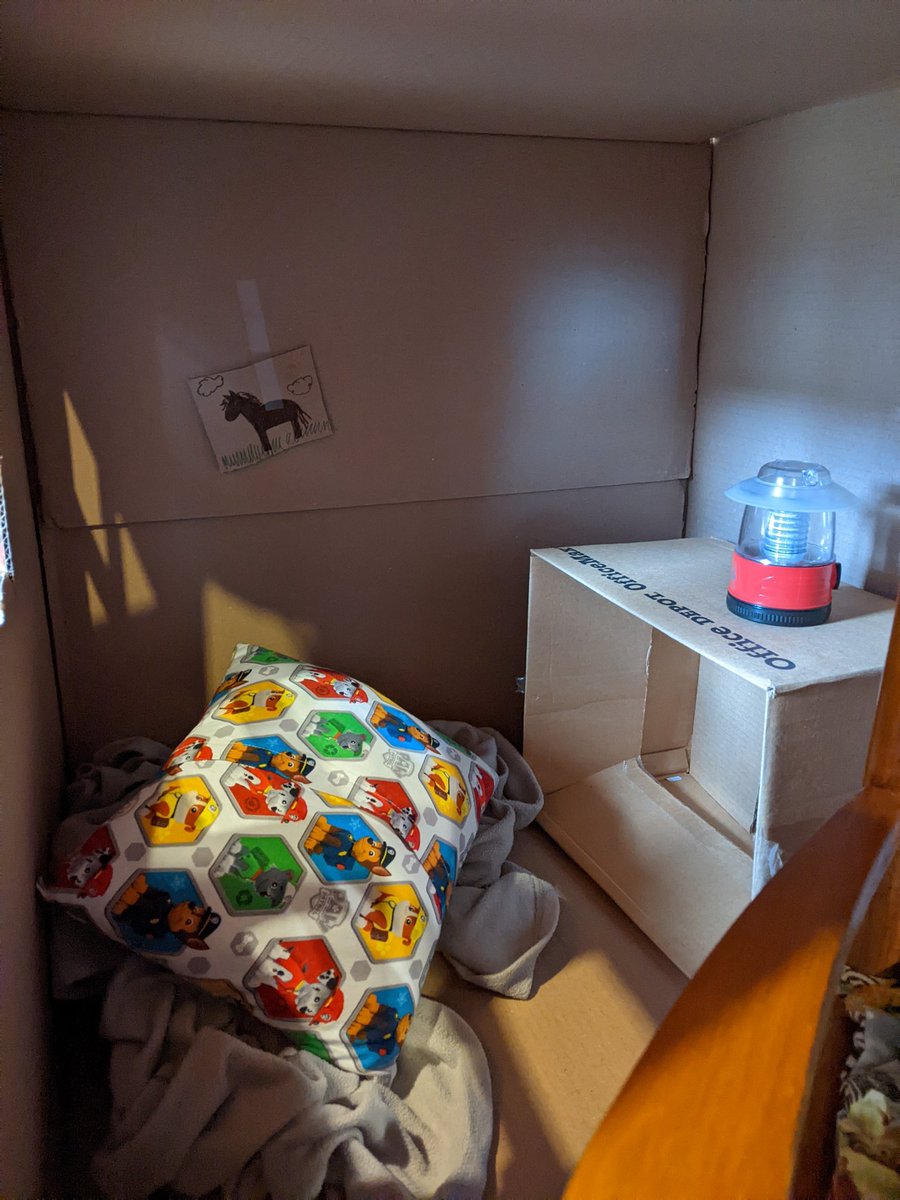 Author_PCorrell's tweet photo. First-Grader's other Christmas gift. 

(there are 3 more giant boxes where this came from)

#kids #parenthood #boxforts https://t.co/lhVgEhVT0y
