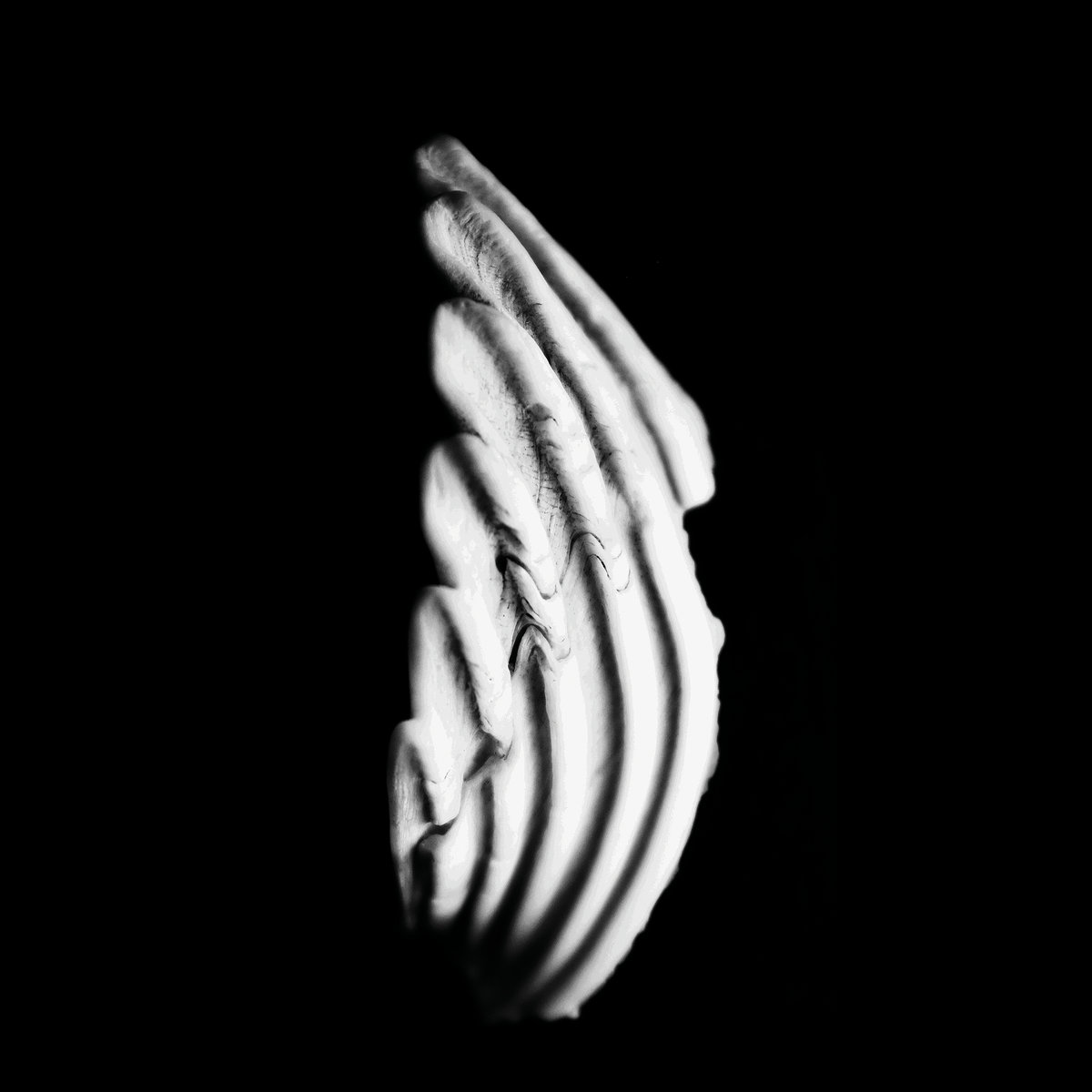 himnosyderiva's tweet photo. KMRU - "Logue"

#BestOf2021 #HpLD

https://t.co/dX5lm7Xz5C https://t.co/PWqkMc1R4L