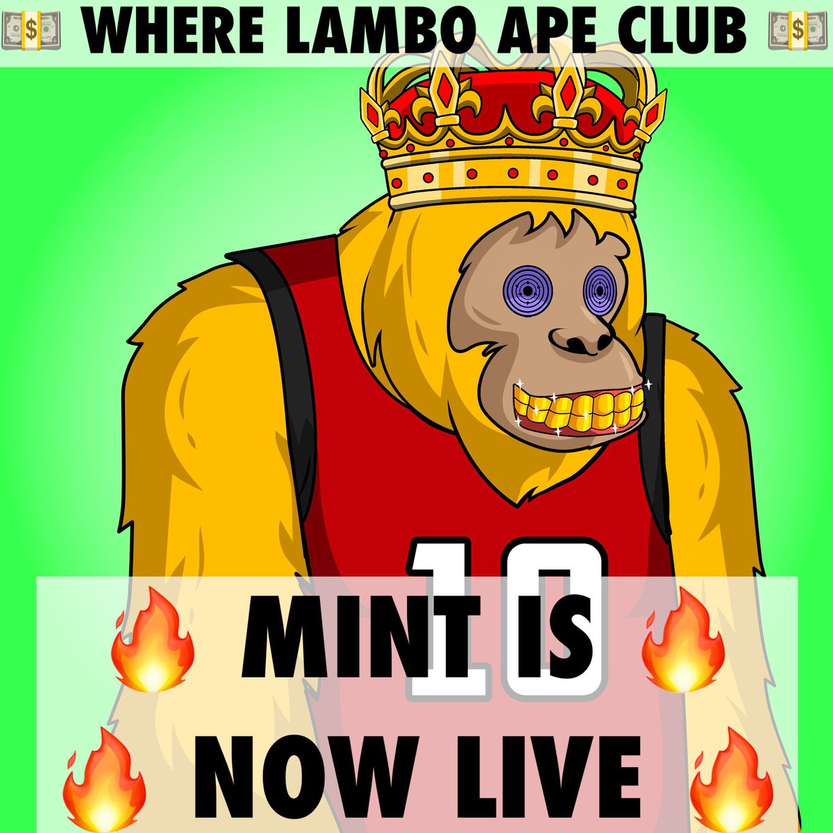 WhereLambo Ape Club tweet media