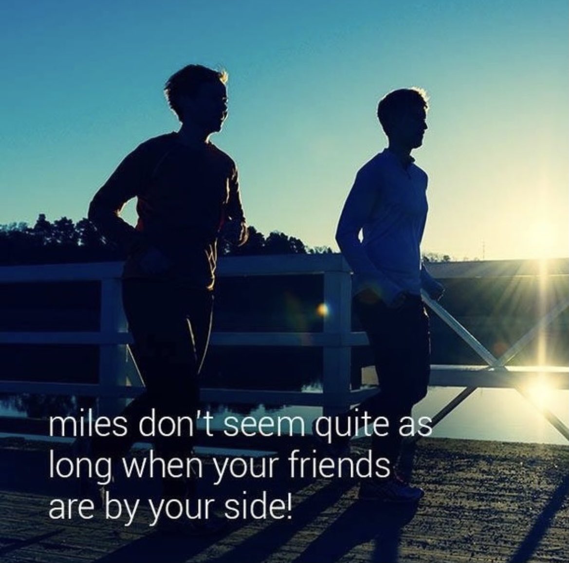 Ferrycarrig5mile tweet media