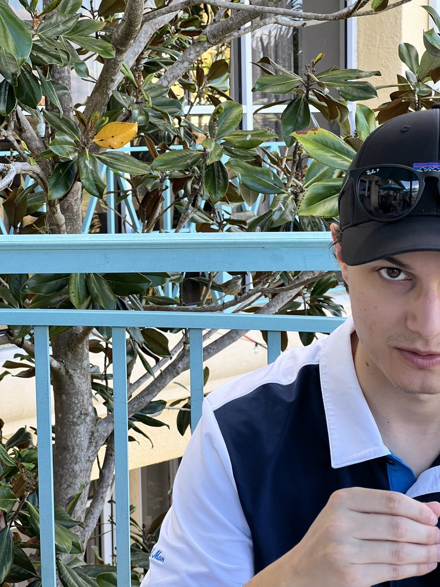 zoegliosco's tweet photo. enjoy this photo of a palm warbler and my boyfriend looking bothered by me (presumably) taking pictures of him #findthatbird https://t.co/bNad3zmQBJ