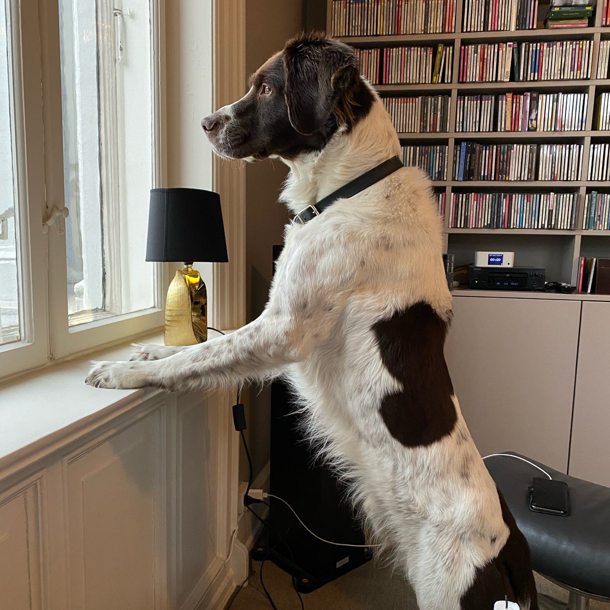 Dag Strømsnes tweet media