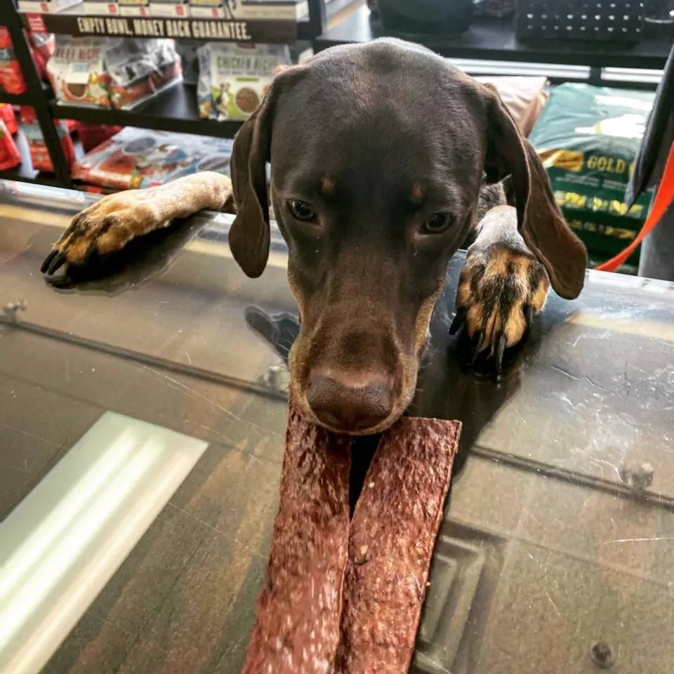 HappyHowiesInc's tweet photo. #repost Bailey likes the treat selection. 🍖 Happy Howie's #beefjerky
#happyhowies #makeemhappynaturally #dogtreats #treats #trainerpreferred #allnatural #madeintheUSA 🇺🇸
( #📷 @allthingswoofmeowtoo ) https://t.co/2gNL7ztpk1 https://t.co/zP1opihzEh