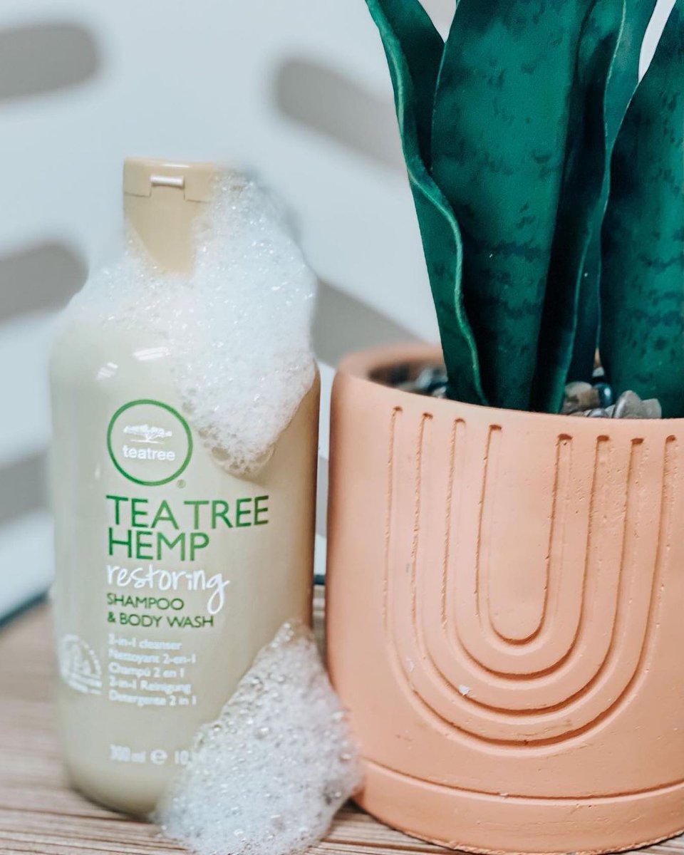 PaulMitchellUS's tweet photo. Multipurpose at its finest! The #TeaTreeHemp Restoring Shampoo &amp; Body Wash is the perfect 2-in-1, serving as a shampoo &amp; body wash! 🌿 https://t.co/gTVH610YHF