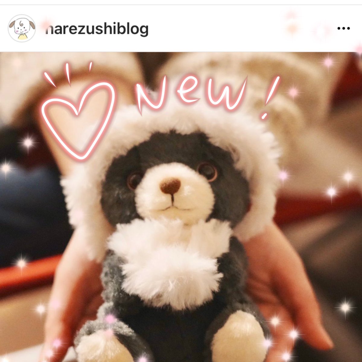 narezushiblog's tweet photo. おはようございます❣️
今日はクリスマスツリーのお片付け🎄と美容院に行って髪の毛切り納め💇‍♀️年末のキャンプの準備といろいろやることまんさーい！
今年もあとわずか。やり残しがないようにしたいな🤗💕

今日もよろしくお願いします💛

#ぬい撮り #sunarrow #potte  
#もふり https://t.co/qwaSIj2ee7