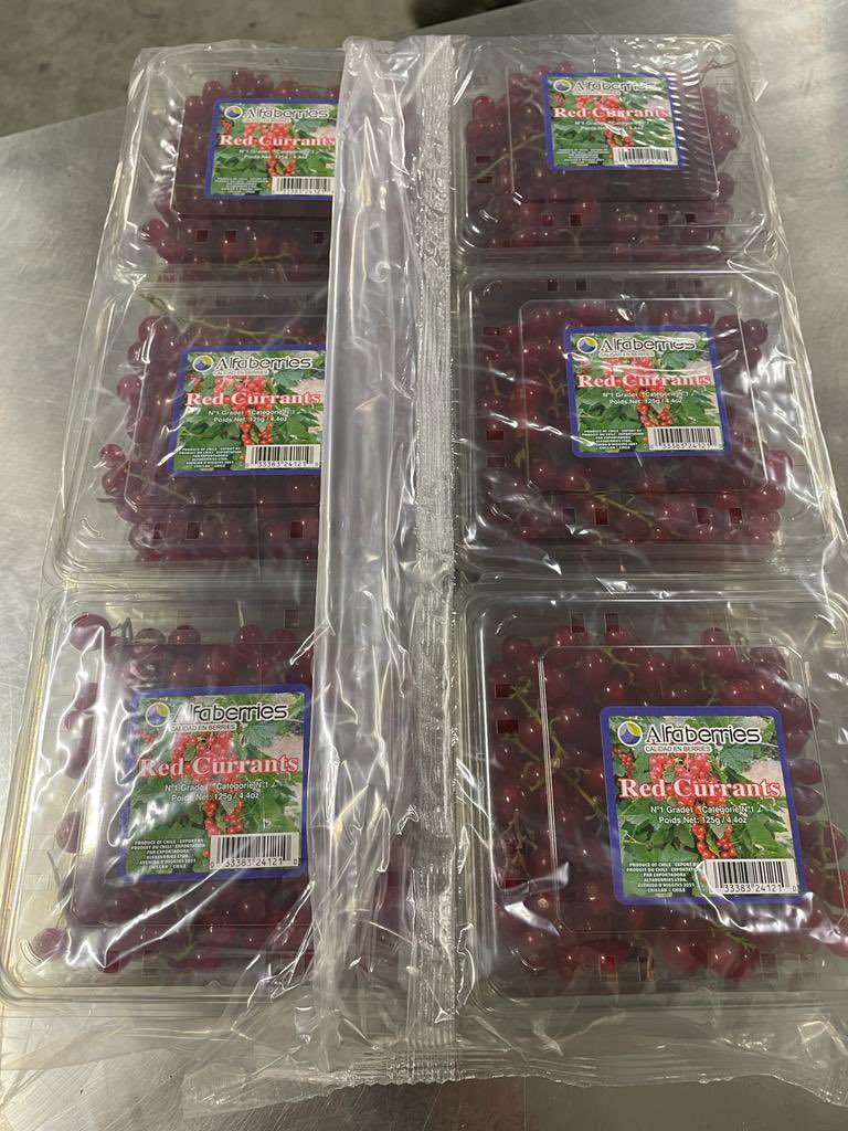 alfaberries's tweet photo. Listas estas zarzaparrillas para ser enviadas a Malasia 🇲🇾 🚢

#zarzaparilla #redcurrants #Malasia #exportación https://t.co/YwwxX9l3WC