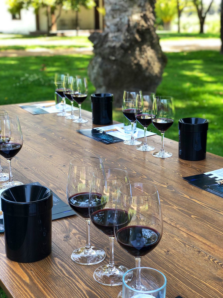 CelineMahou's tweet photo. De las cosas más buenas que tenemos en este país #ViñaTarapacá #VinoChileno 🍷 https://t.co/T6LxjylMqd