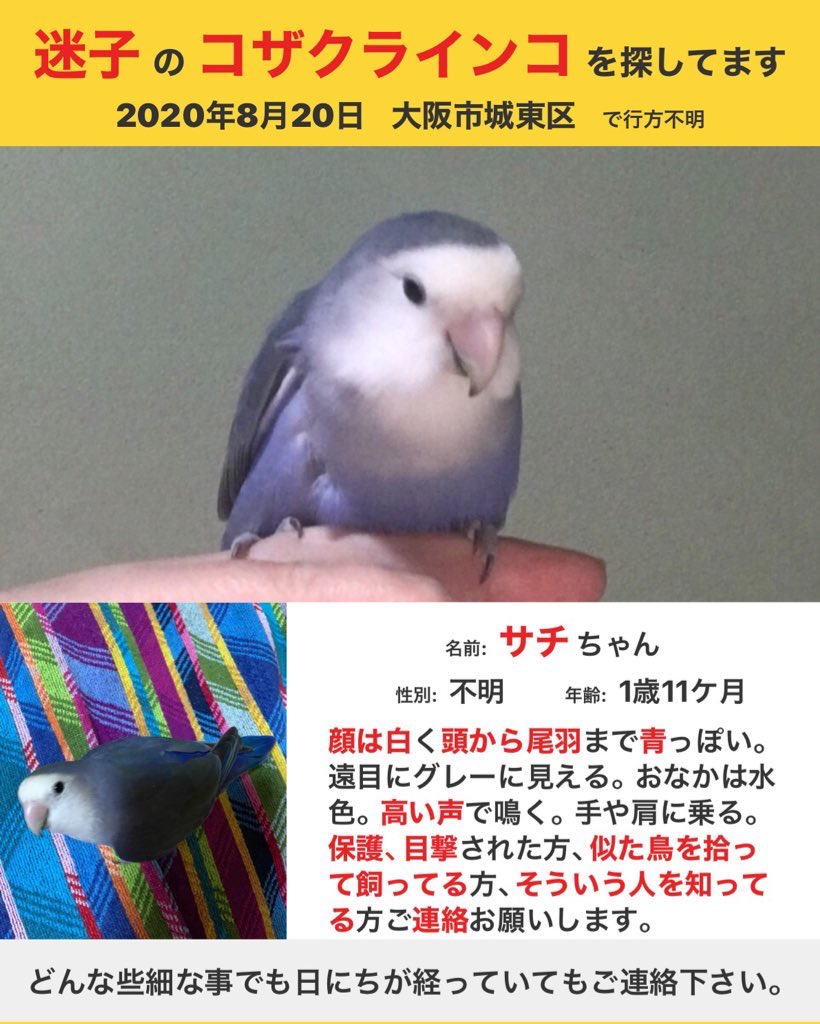 黒さん Zteldhj2xaoguwl Twitter